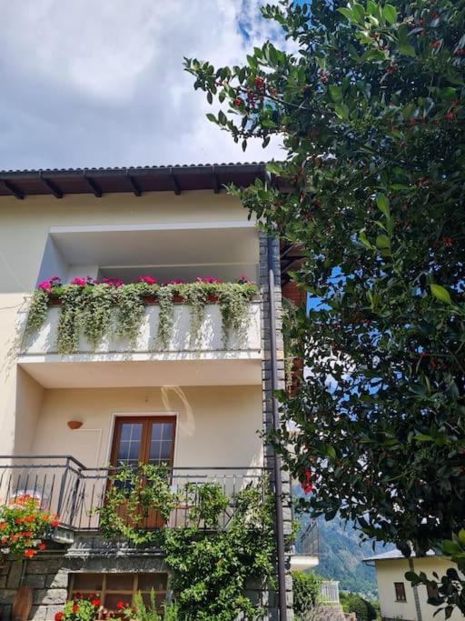 Apartamento Ca Dell'Agrifoglio Crodo Exterior foto